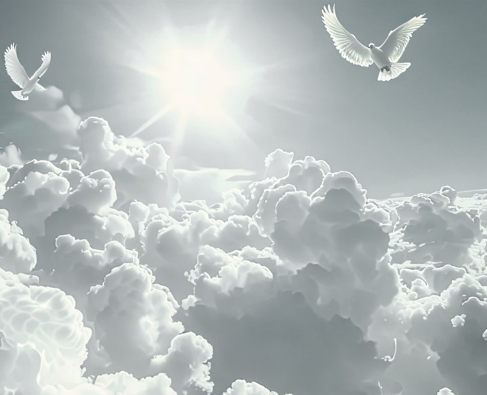 Tauben am Himmel – Symbol für den Abschied